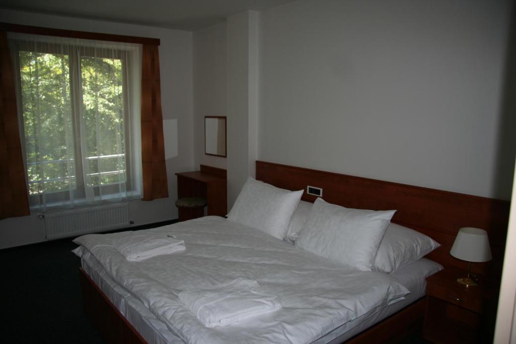 Lazensky Hotel Park Podebrady Bilik gambar